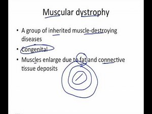 040 Developmental aspects of muscular system