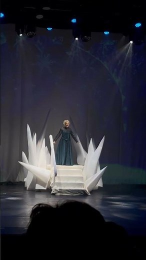 Elsa Performer Topples Mid-Song During Let It Go