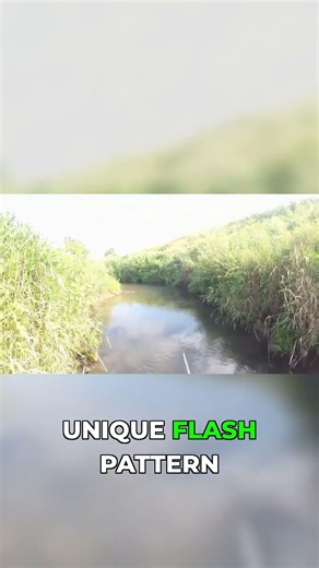 Custom Spinner Design: Why it Catches Big Trout