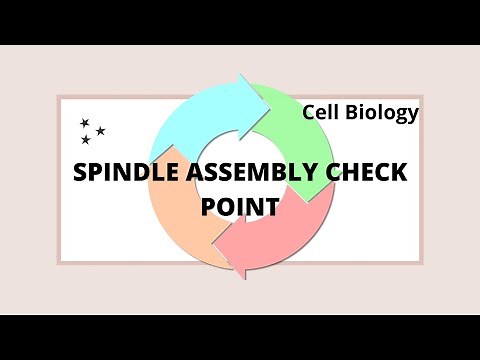 SPINDLE ASSEMBLY CHECK POINT I CELL CYCLE #csirnet #cellcycle #cellbiology