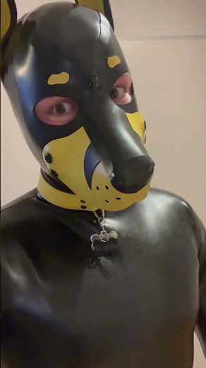 Head to toe’s encased rubber pup