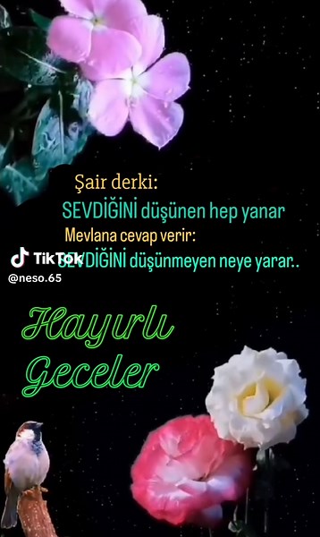 neso (@neso.65) adlı kullanıcının orijinal ses - 𝐙𝐞𝐦𝐡𝐞𝐫𝐢 ile oluşturduğu videoları