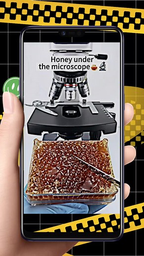 Honey 🍯🍯 under microscope 🔬🔬🔬🔬 #microscope #japan #viral