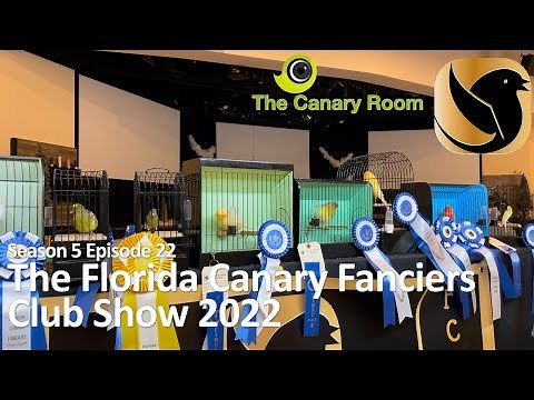 The Canary Room Season 5 Ep 22 - The Florida Canary Fanciers Club Show 2022
