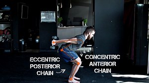 44K views · 619 reactions | INSTAGRAM: WWW.INSTAGRAM.COM/FPJOHNNY Classic weighted squats and the pendulum squat. One exercise here clearly prepares the body more effectively for the dynamic mechanics of jumping. #functionalpatterns #squat #verticaljump #functionaltraining | Functional Patterns | Facebook