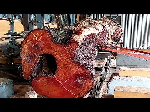 #104 Cutting down a huge mountain cherry tree that has been trained to become rugged! !