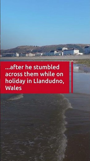 Walker spots giant 'alien' jellyfish washed up on beach