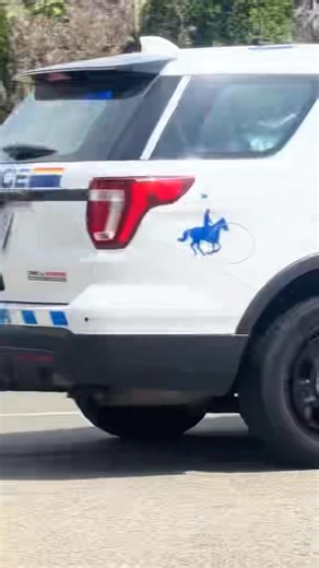 Buffalo stampede in Surrey,Bc | Canada tokens