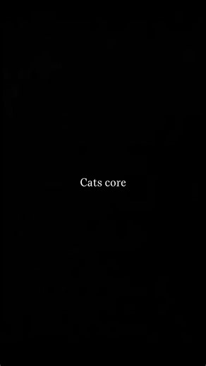 Cats core😂 Part 11 #shorts #cats #pets #funny #catscore