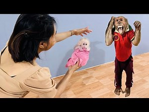 The journey of adopting a poor little monkey ABU's surprising response!