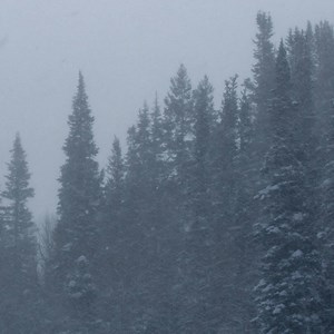 231 reactions · 21 shares | "There's just something special about this place" - Marcus Caston, Professional Skier. | Deer Valley Resort | Facebook