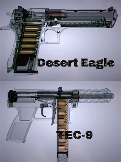 Desert Eagle vs TEC 9
