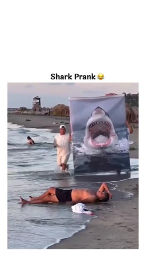 @ashwrites____ | The post features a 16-second beach prank video where pranksters drag a large shark-head tarp through shallow water to scare a sunbathing... | Instagram