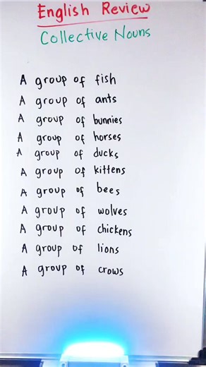 416K views · 504 reactions | Did You Know? | Collective Nouns for Group of Animals #learningbuddy #facts #trivia #factsdaily #englishvocabulary #didyouknowfacts #learnontiktok #English #learnenglish #fbreelsfypシ゚viralシ #fbreelsvideo #fbpost2024 #fypシviralシ2024 | Learning Buddy | Facebook