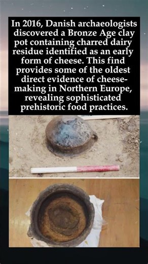 3,000-Year-Old Cheese Found in Denmark