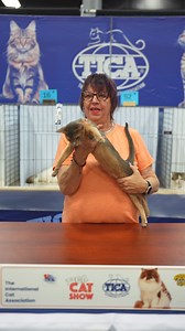 22K views · 555 reactions | Have you ever wondered what it takes to...