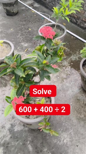 Solve it Math Test solve | M Mathematics