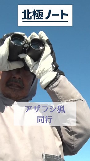 北極でワモンアザラシ猟に挑戦