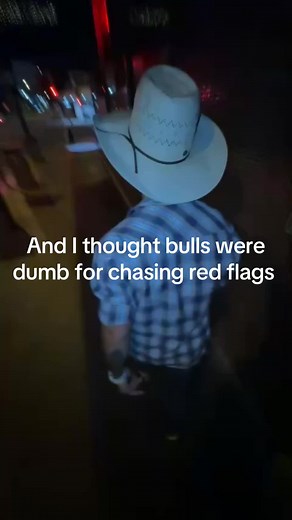 Understanding Bull Behavior: Chasing Red Flags