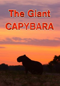 The Giant Capybara (2005)