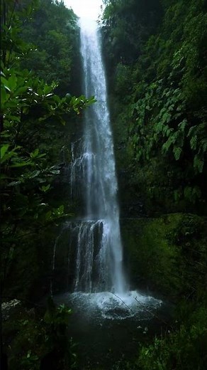 Relaxing Nature Music - Mind Relaxing Music #shorts