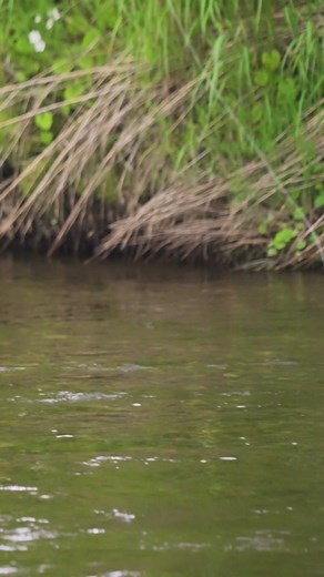 Fly Out Travel on TikTok