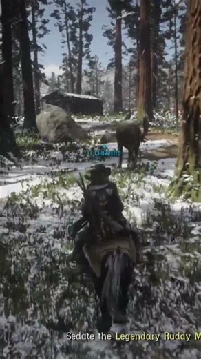 Legendary Ruddy Moose 🫎