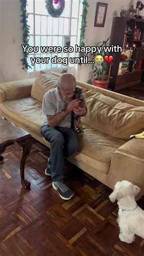 Heartfelt Memory Box for a Beloved Dog