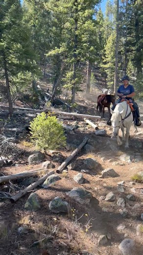 The climb down is extremely steep and 1/2 mile . Coming back up will be brutal | Scout's Trail