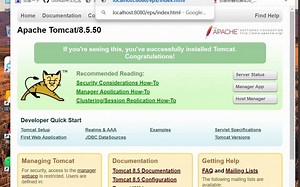 网页部署（Tomcat服务器部署，webpack打包部署）