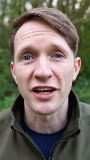 Killer Bee vs Red Fire Ant? Which sting hurts more?