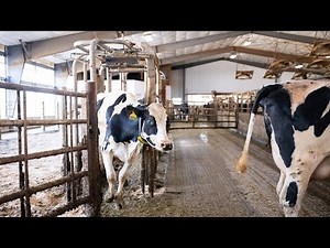 Introducing Nedap SmartSort