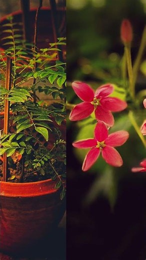 May 2026 Visual Recap | Aesthetic Photography & Art Dump