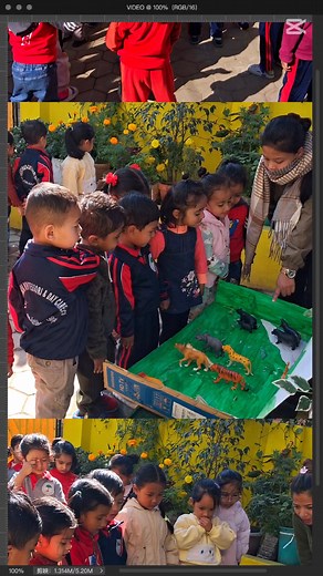 12 reactions | 女 Exploring Farm and Jungle Animals with Models ...