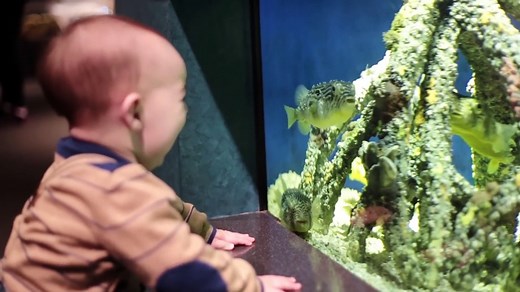 Funniest Baby fails with Animals | Try not to laugh