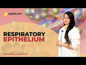 2-Minute Histology: Respiratory Epithelium | Anatomy