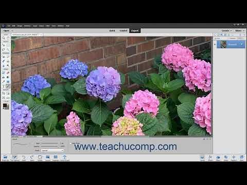 Photoshop Elements 2021 Tutorial The Pencil Tool Adobe Training