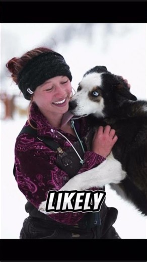 Why Dogs Lick You Nonstop (It’s Deeper Than Love) 🐶💧