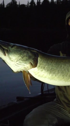 Fishing for Giant Muskies in Canada