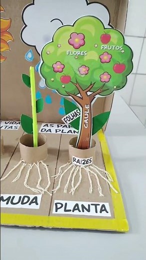 Ciclo de vida das plantas e as Partes das plantas 💕
