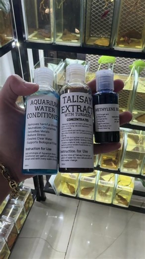 3-in-1 Aquarium Set Up Starter Kit 😍😍 #fyp #betta #bettafish #betta_lover #fishkeeping