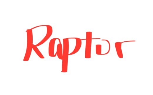 大学计算机知识点八|Raptor