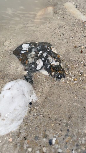 Digging up $999 worth of rocks, on a cliff from a former gold mine. #digging #rocks #goldmine #gemstone #digginggemstone #menggalibatu | Jonnaidi Jhon Diamond