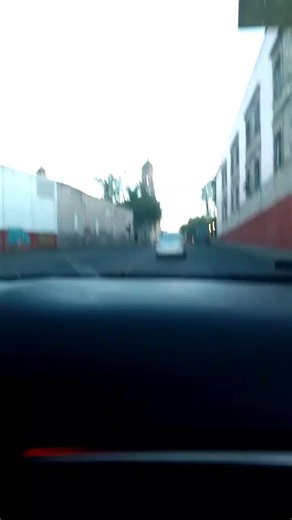 Videos de Bad Lion (@bad.lion8) con “sonido original - Bad Lion”