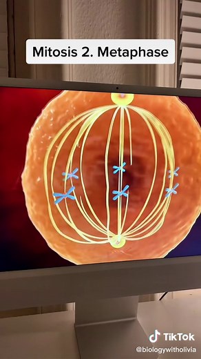 Biology Songs on TikTok: Tune Appreciation and More