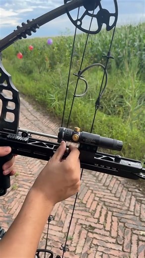 Archery game rapid fire🎯🎈🎈🎈 #archerygame #archerylife #compoundbow #rapidfire #archerymaster