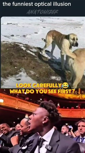 Your brain is LYING to you! 🧠🐶 #shorts