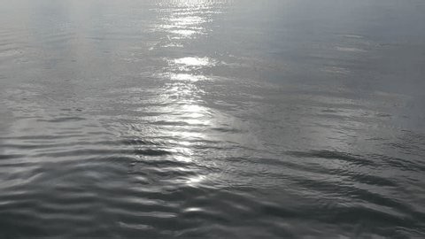 clip-4188063337-sundarbans-mangrove-forest-under-blue-sky-bangladesh