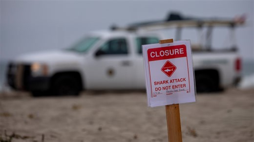 2.2K views · 19 reactions | Comedian Alex Stein has commended the heroic Australians captured rescuing a 16-year-old shark attack victim. | Sky News Australia | Facebook