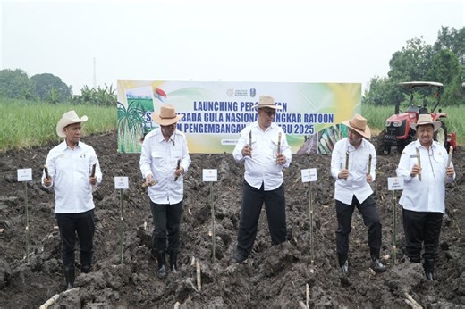 Percepatan Swasembada Gula, SGN Kejar Bongkar Ratoon 100.000 hektare